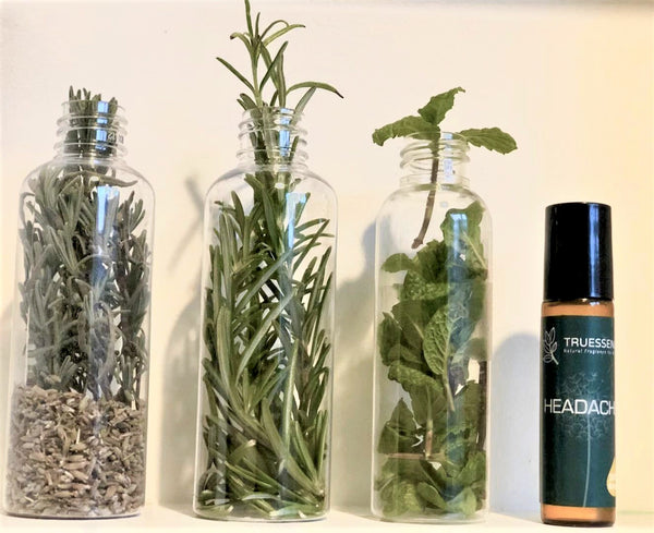 <span>Wellness Roller</span><br/> Headache Roller