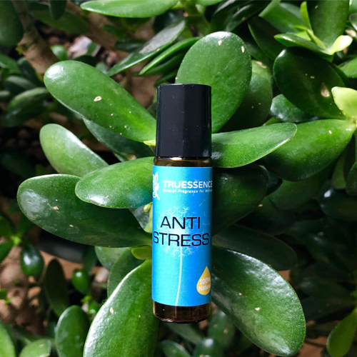 <span>Wellness Roller</span><br/> Anti-Stress Roller